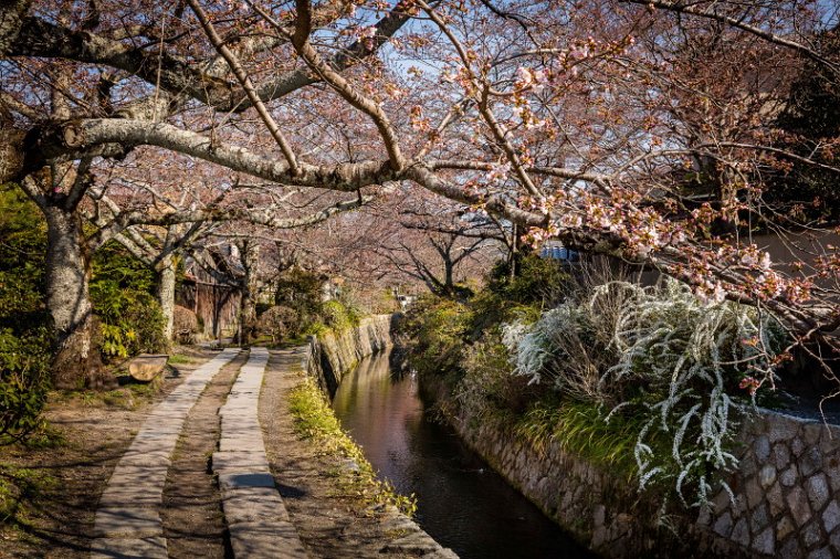 39 Kyoto, pad der filosofen.jpg